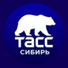Иконка канала ТАСС Сибирь