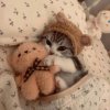 Иконка канала Парлина🧸