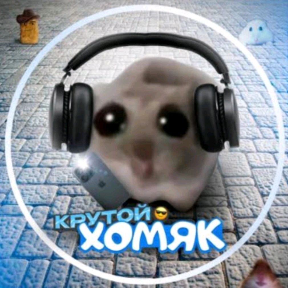 Иконка канала Крутой Хомяк