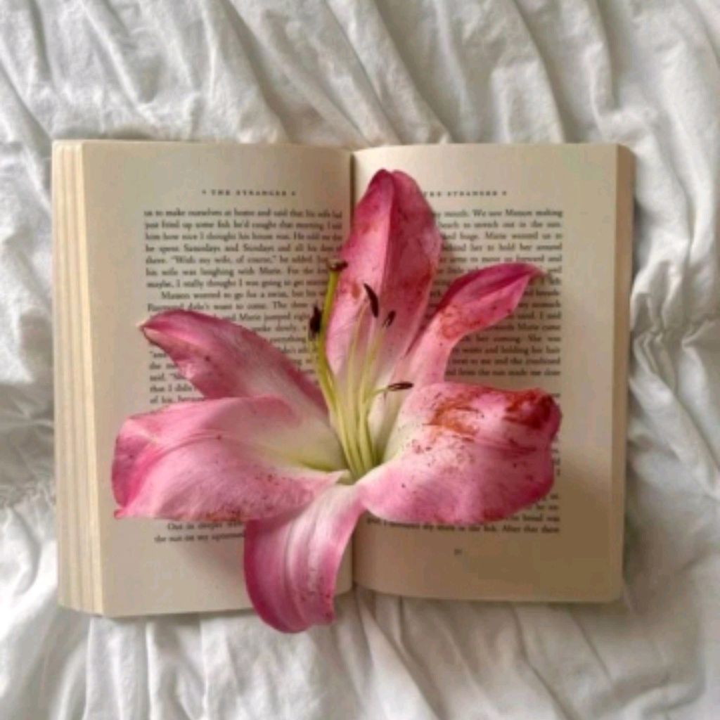 Иконка канала Мила, И Моя Жизнь