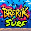 Иконка канала BrErik