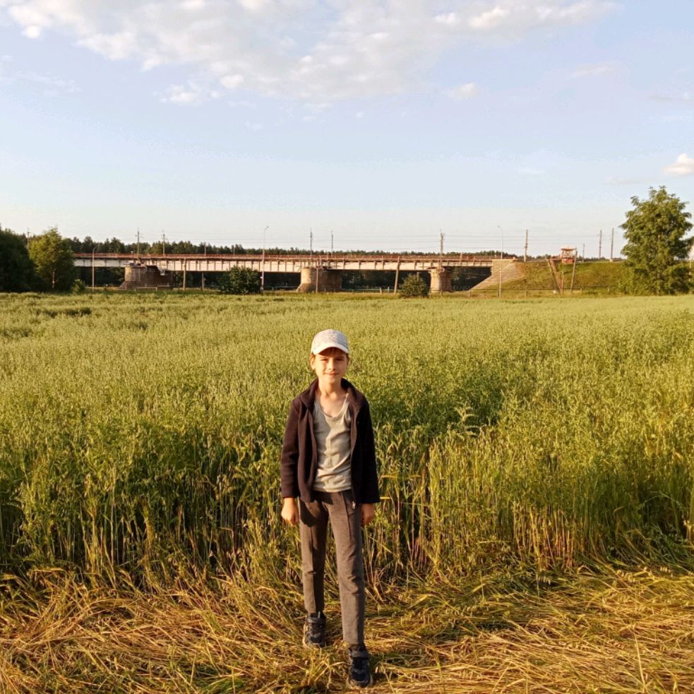 Аватар автора