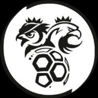 Иконка канала Запад и Юго-Запад. Объединённая лига ЛФЛ 8х8