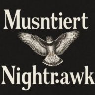 Иконка канала The Mysterious Nighthawk