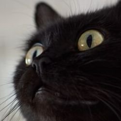 Иконка канала Miss Anna