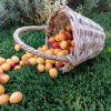Иконка канала Мелодия плетения