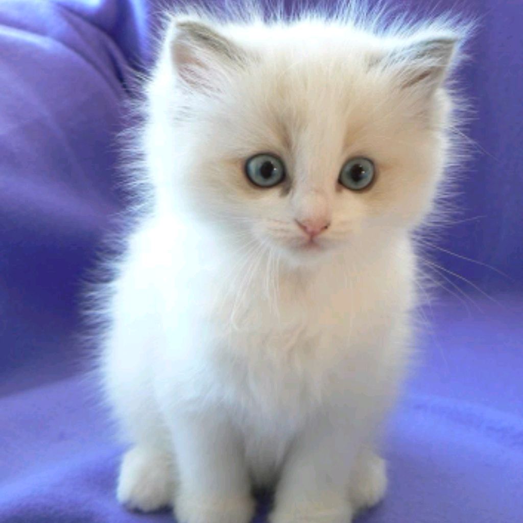 Иконка канала Хз