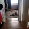 Иконка канала Катик