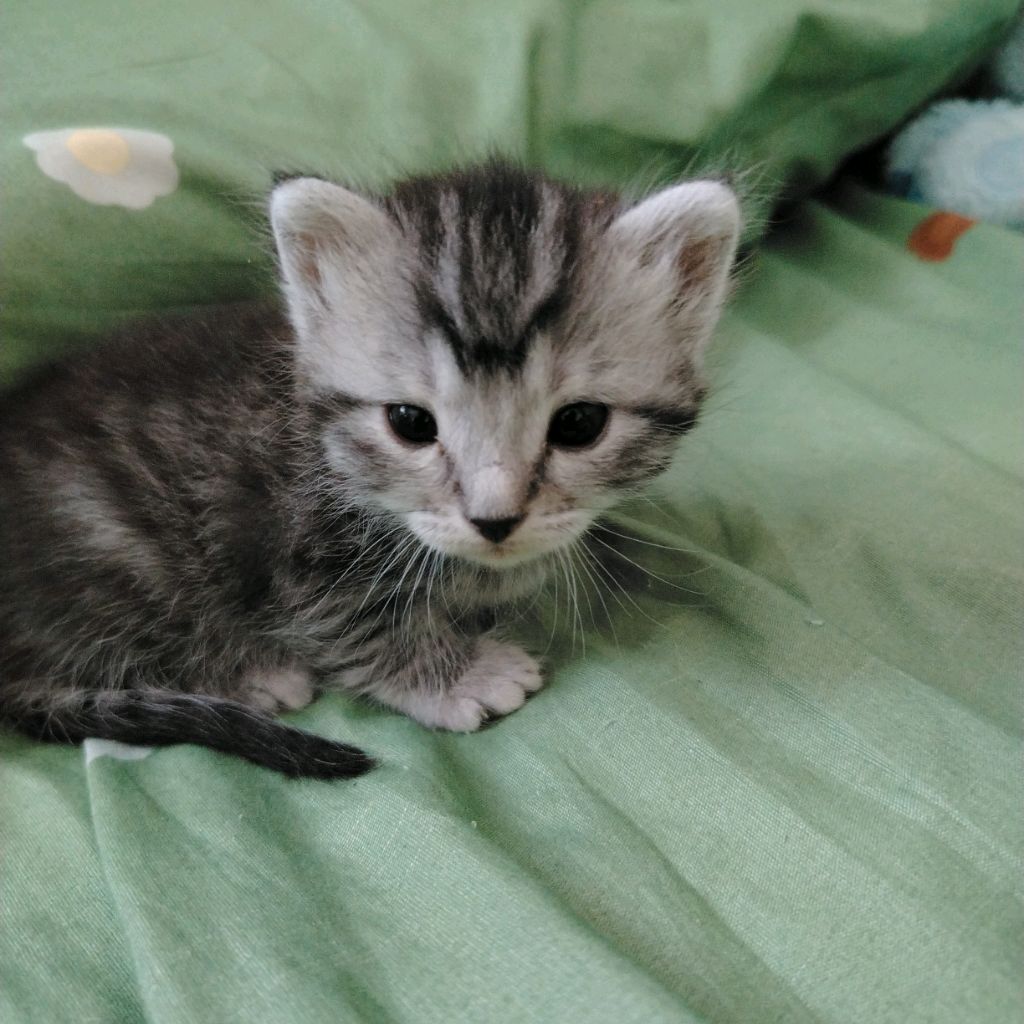 Иконка канала Катя