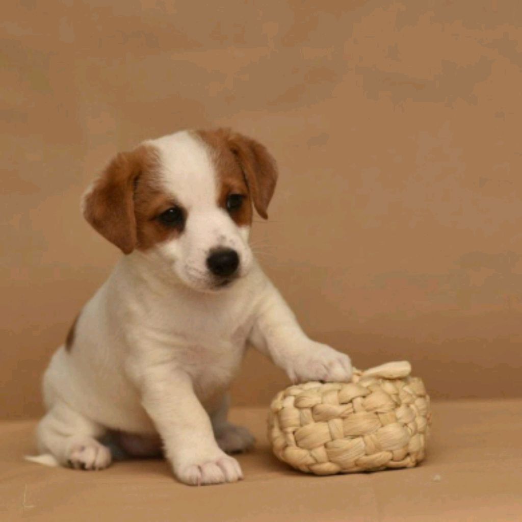 Иконка канала Lizok