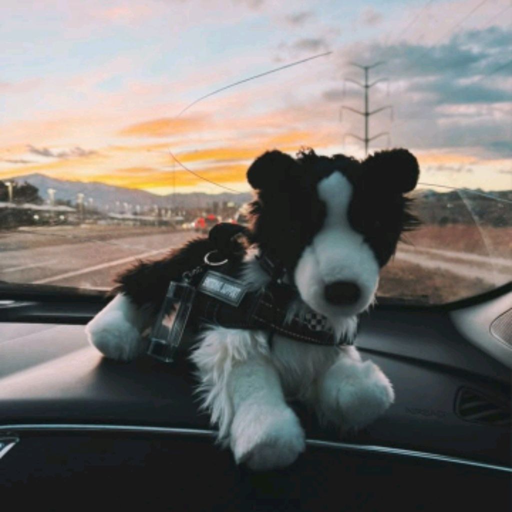 Иконка канала ♡~Doglife~Окси~пдб~♡