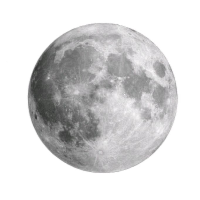 Иконка канала Фимка и Викси🐢