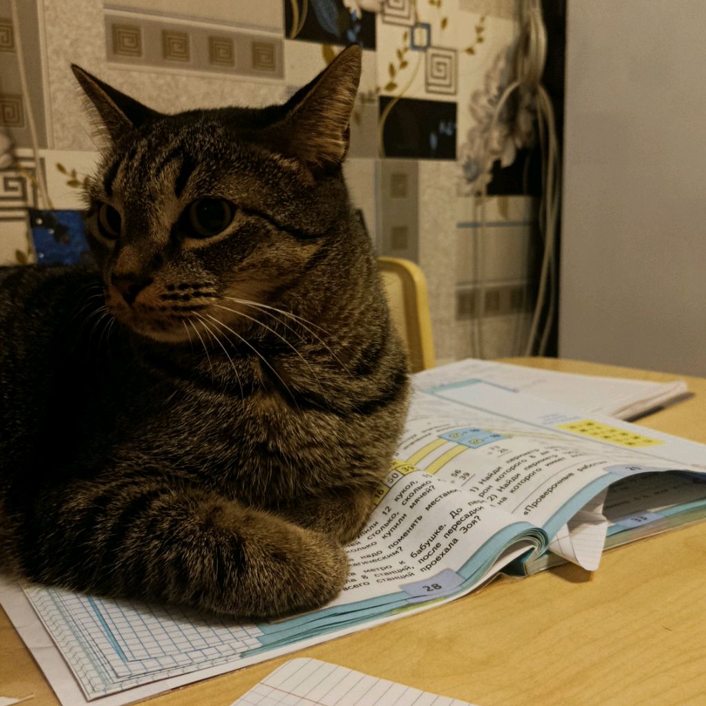 Иконка канала Моя Жизнь Мои Правила