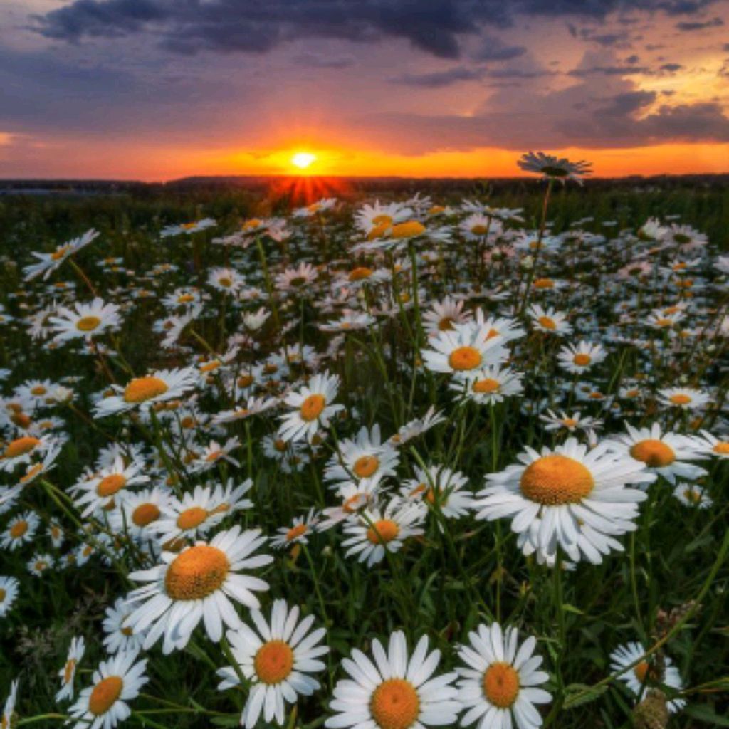 Иконка канала °•~Miko_and_Blu~•°