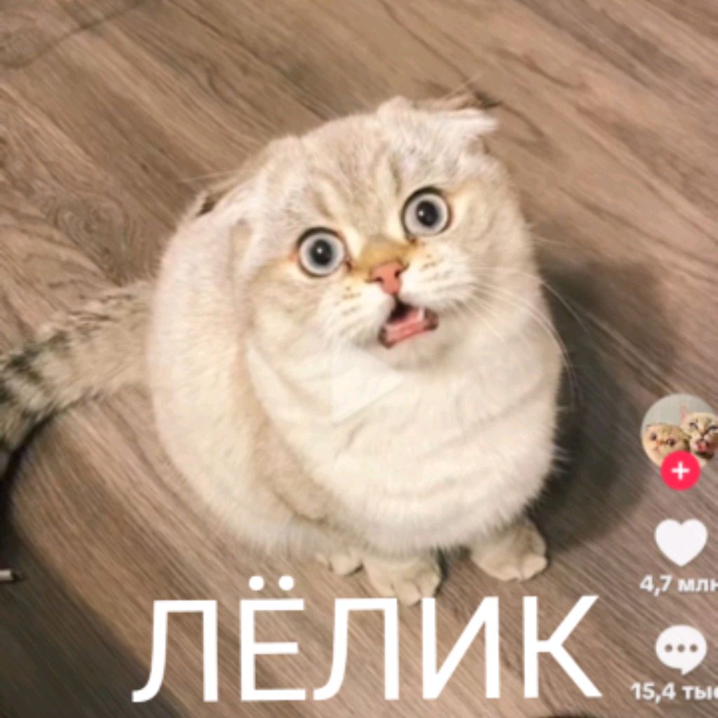 Иконка канала Муслим У8я