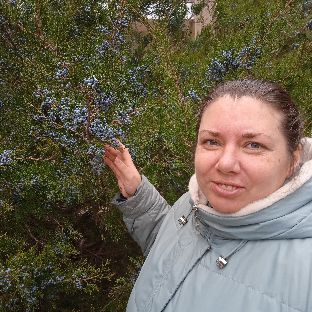 Аватар автора