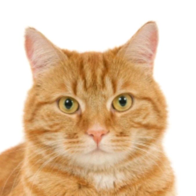 Иконка канала RANDOM 777