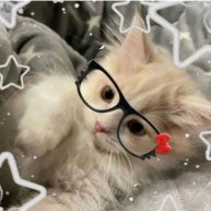 Иконка канала #.🖇᥈ᥱᥴьⲕᥲ🦭