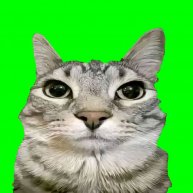 Иконка канала ROBOTYZ