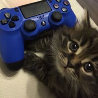 Иконка канала Vasy4ok