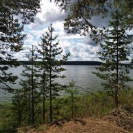 Иконка канала Полевой цветок