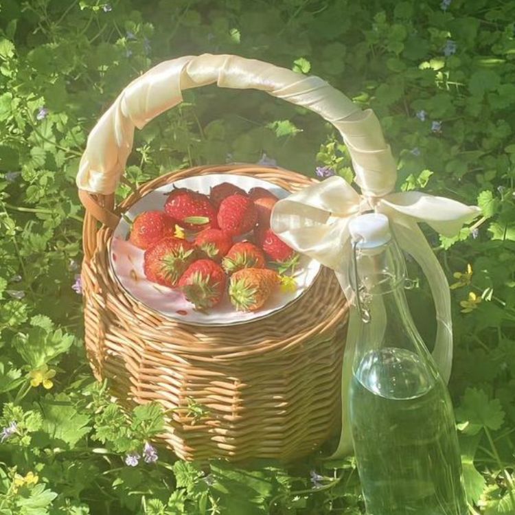 Иконка канала ☆🦭~Twixie_store ~🦭☆