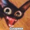 Иконка канала Сухарик Кет🦆