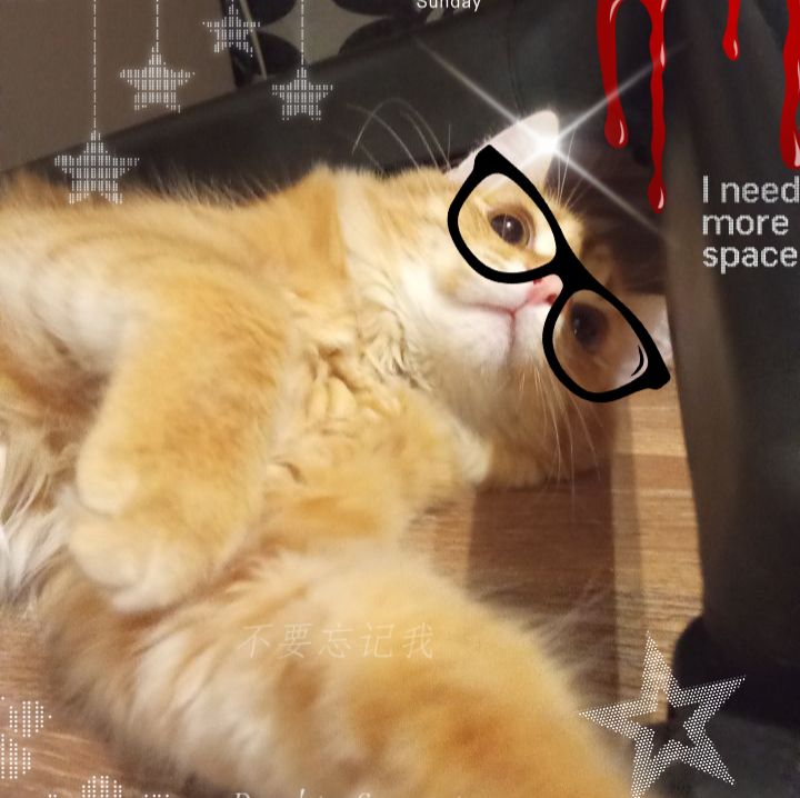 Иконка канала Crazy cat:3