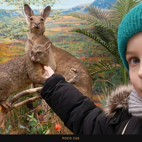 Иконка канала Смирнова киса миса