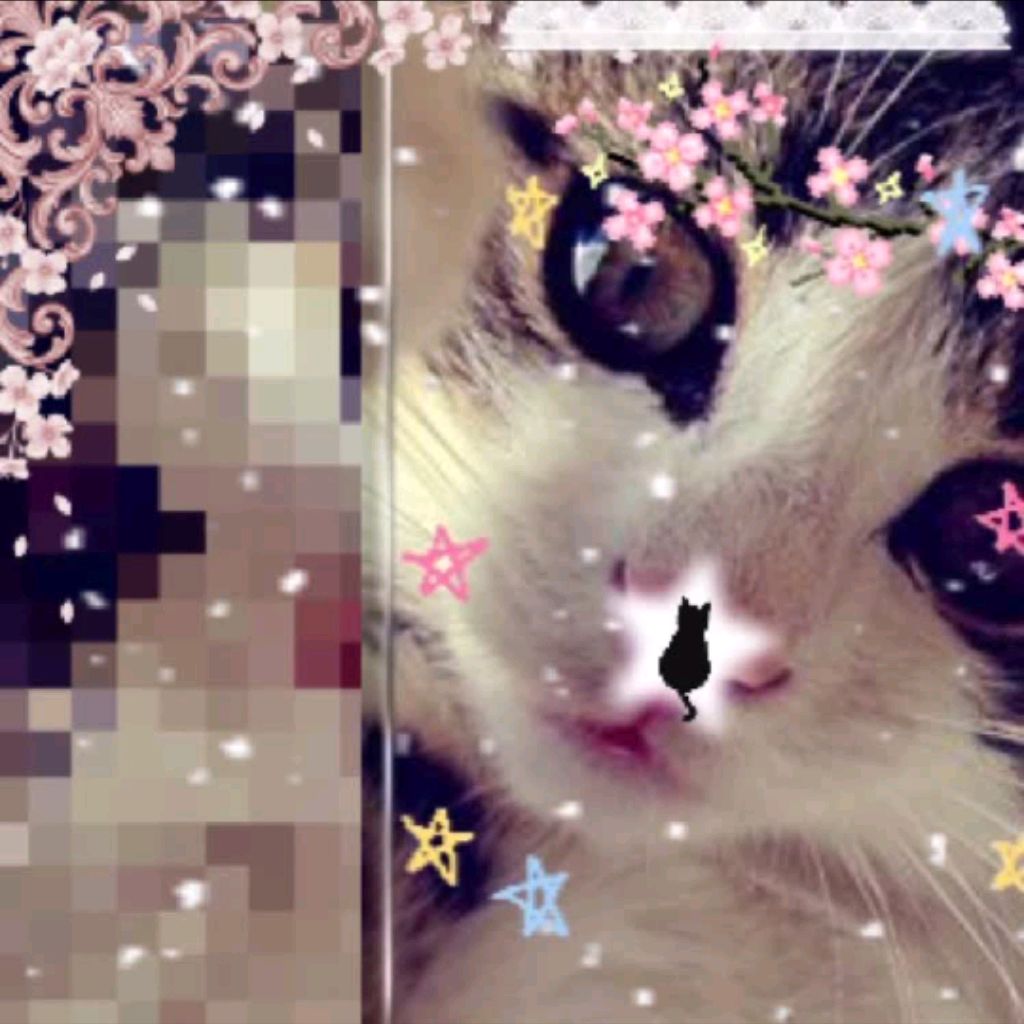 Иконка канала Marina@агро