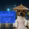 Иконка канала Ниндзя-дог