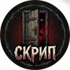 Иконка канала Скрип