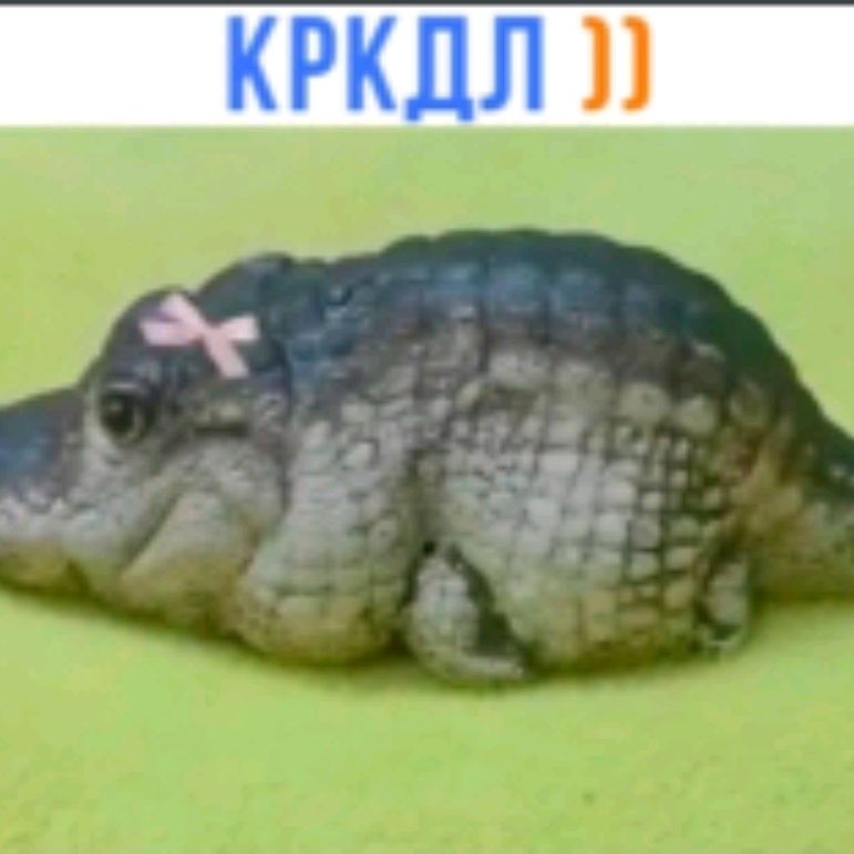 Иконка канала KRKDL