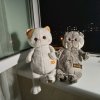 Иконка канала Света Cat
