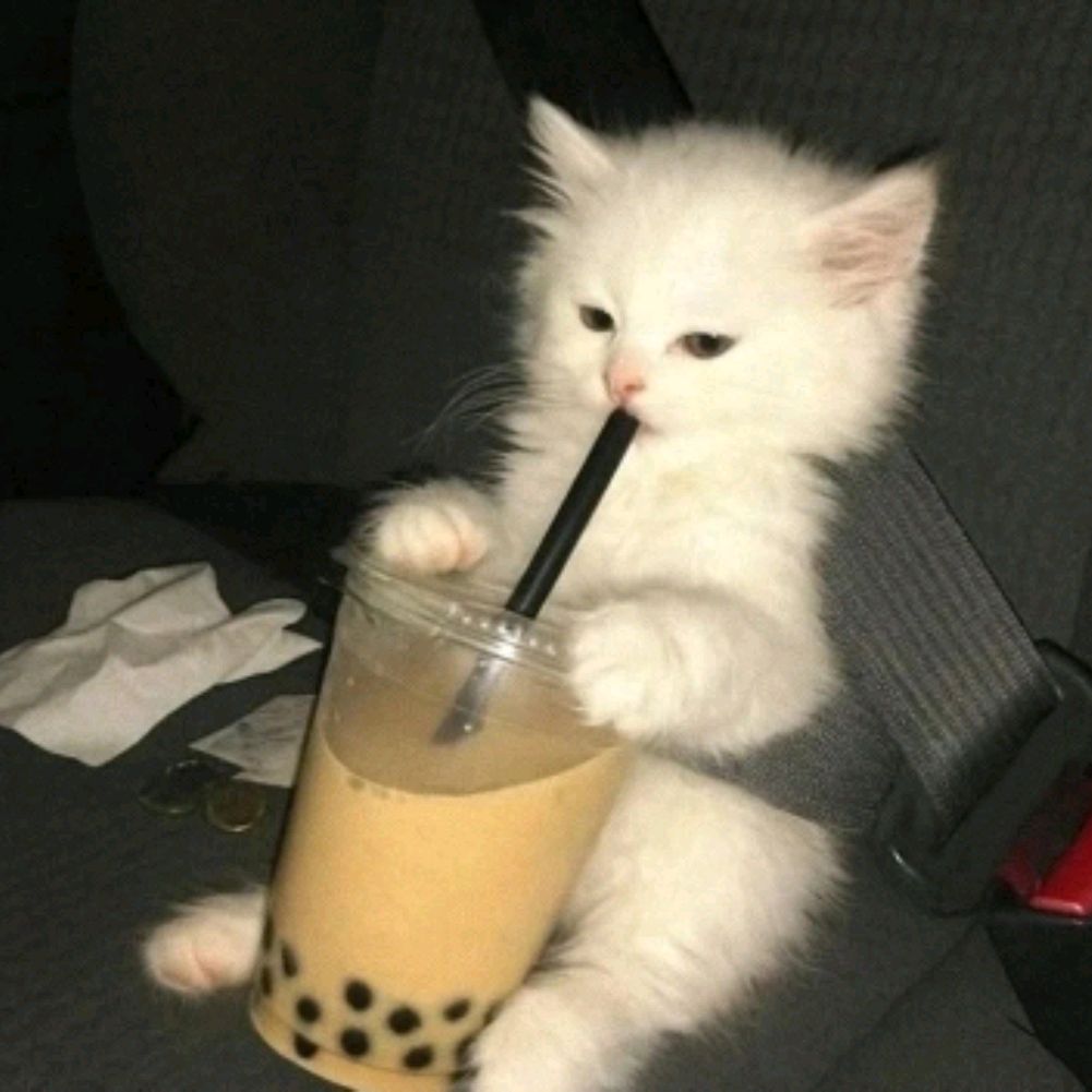 Иконка канала 💋Aloynka💋