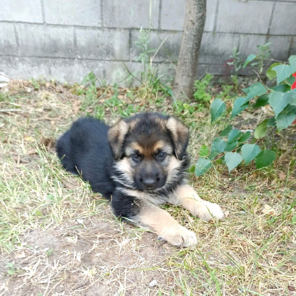 Иконка канала У Феди