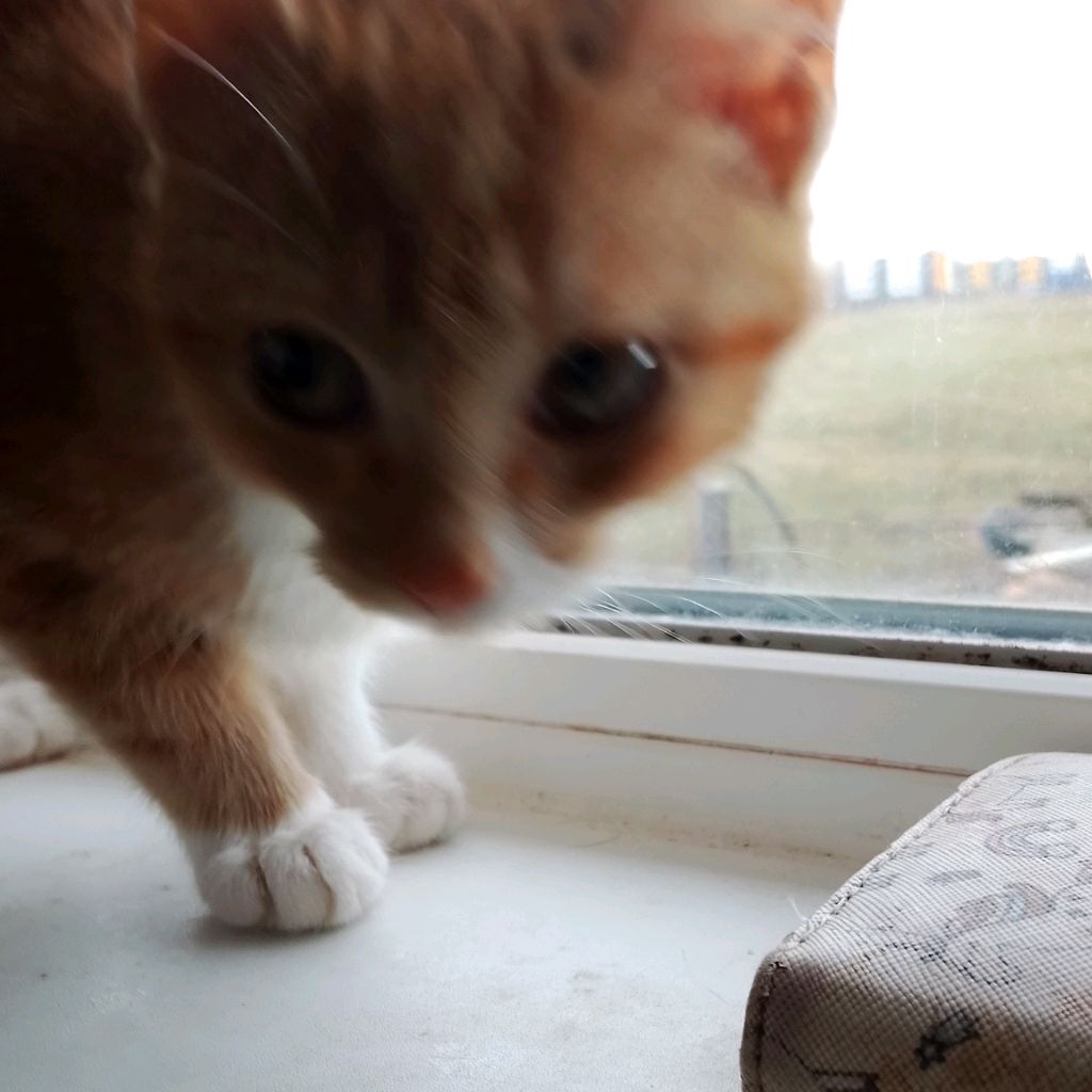 Иконка канала Robotnik842