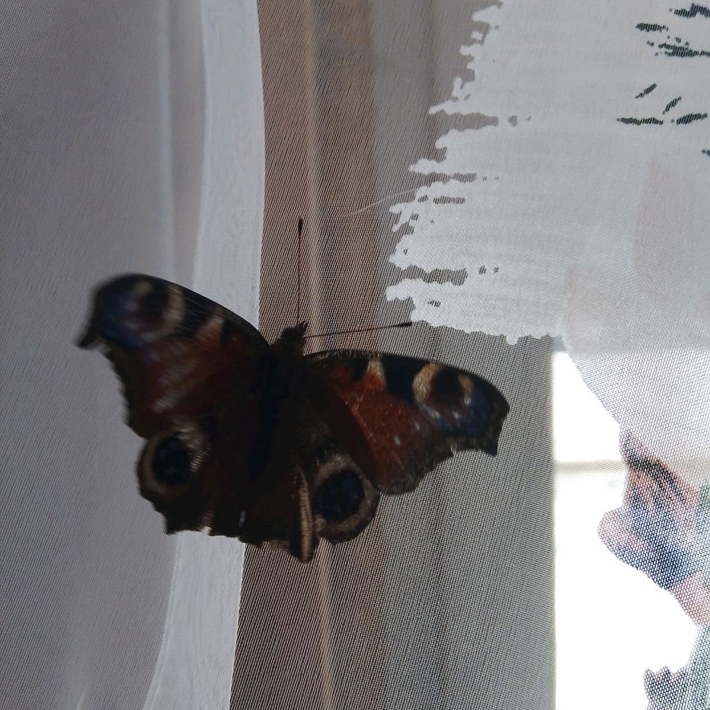 Иконка канала Вика ❤