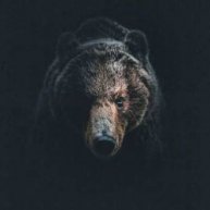 Иконка канала TrueStalking