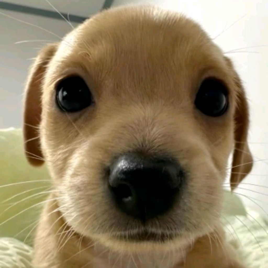 Иконка канала channel77265166