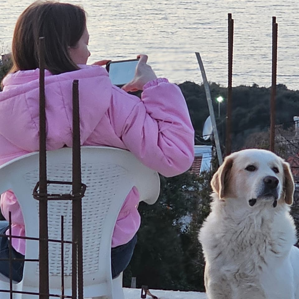 Иконка канала ПоИСки…