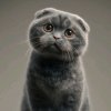 Иконка канала Manyunya_stor