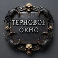 Иконка канала ТЕРНОВОЕ ОКНО