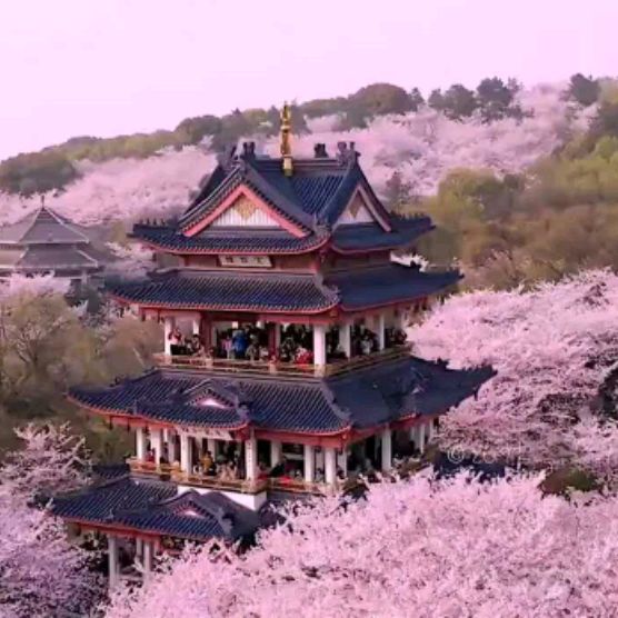 Иконка канала channel43855773