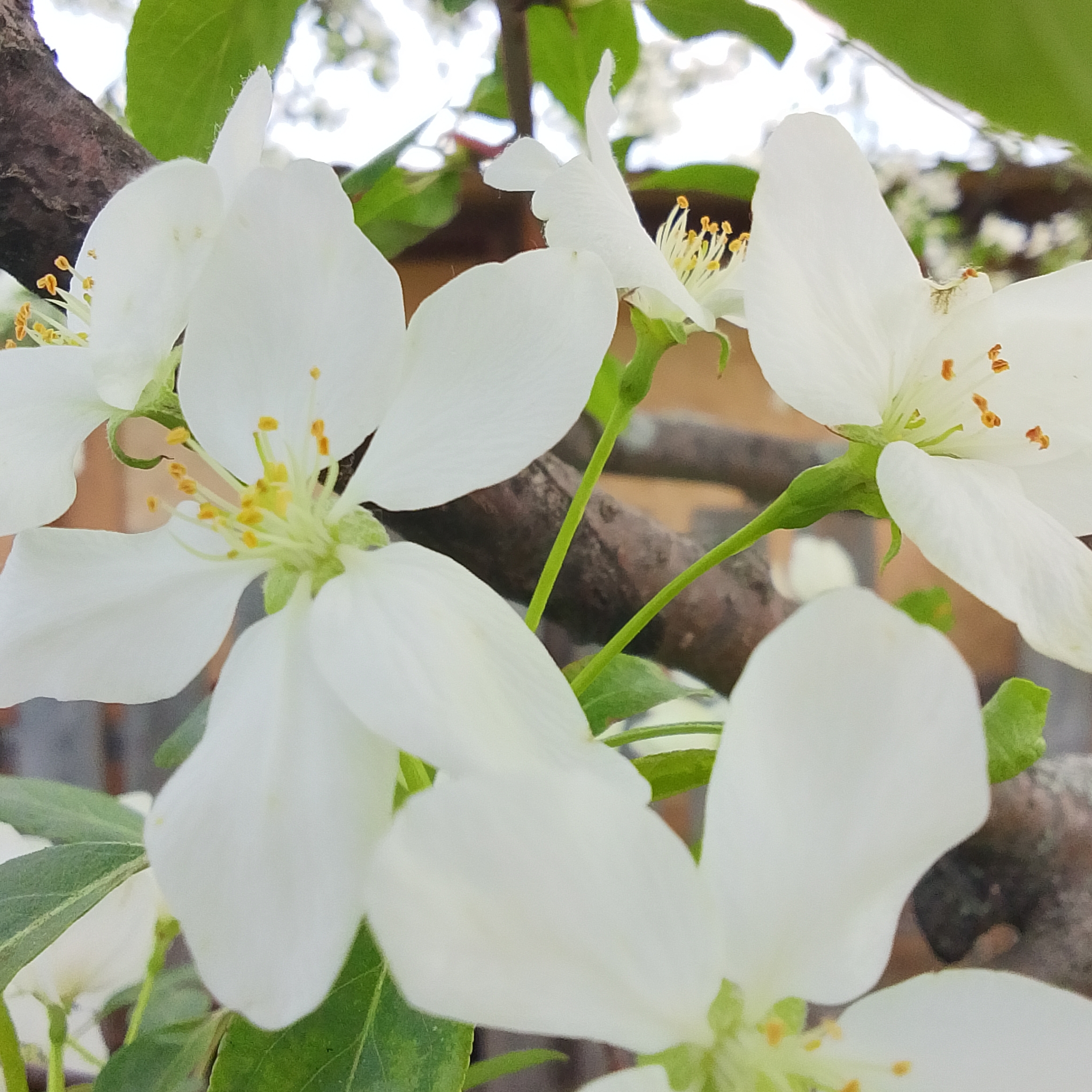 Иконка канала LIFEYASMIN