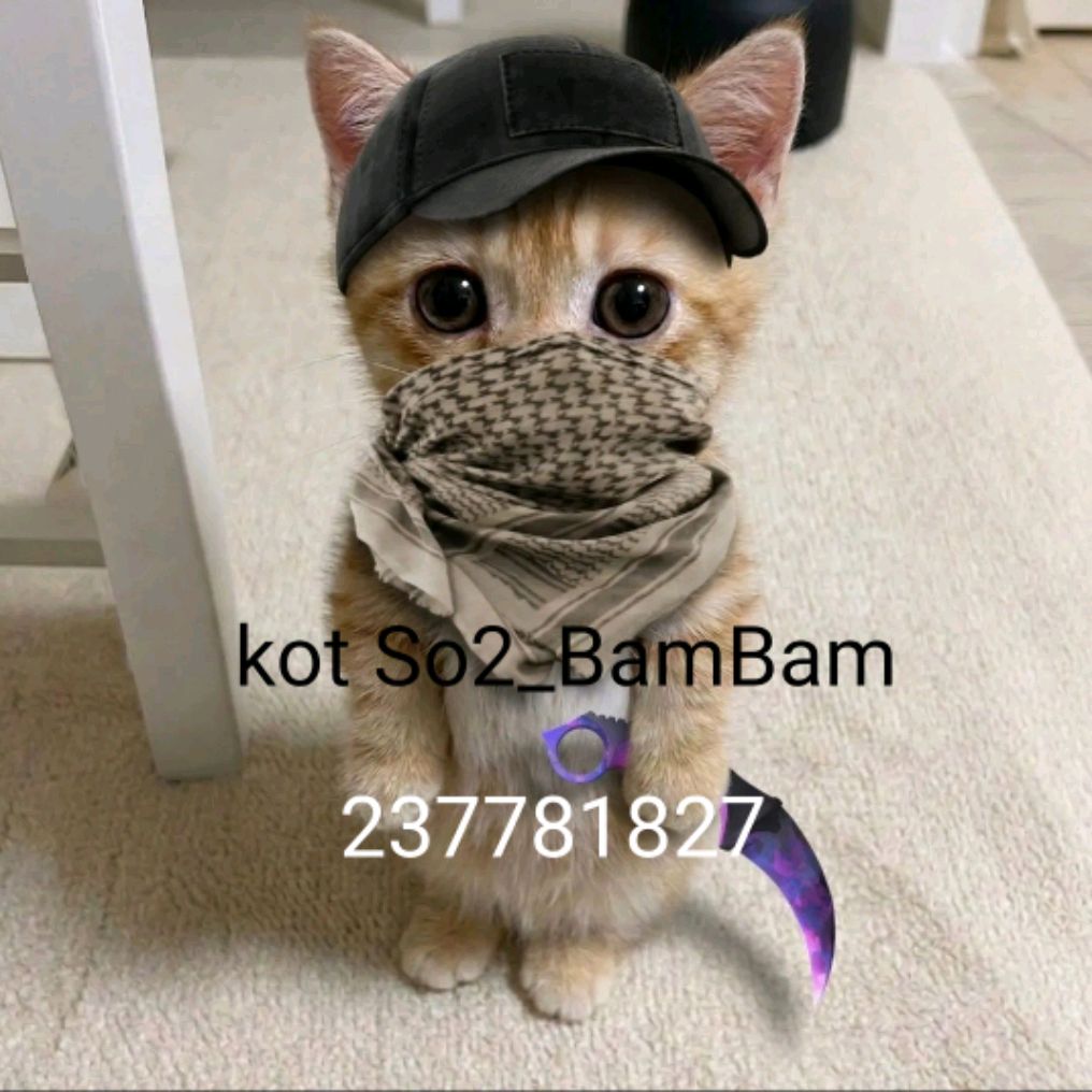 Иконка канала kot So2_BamBam