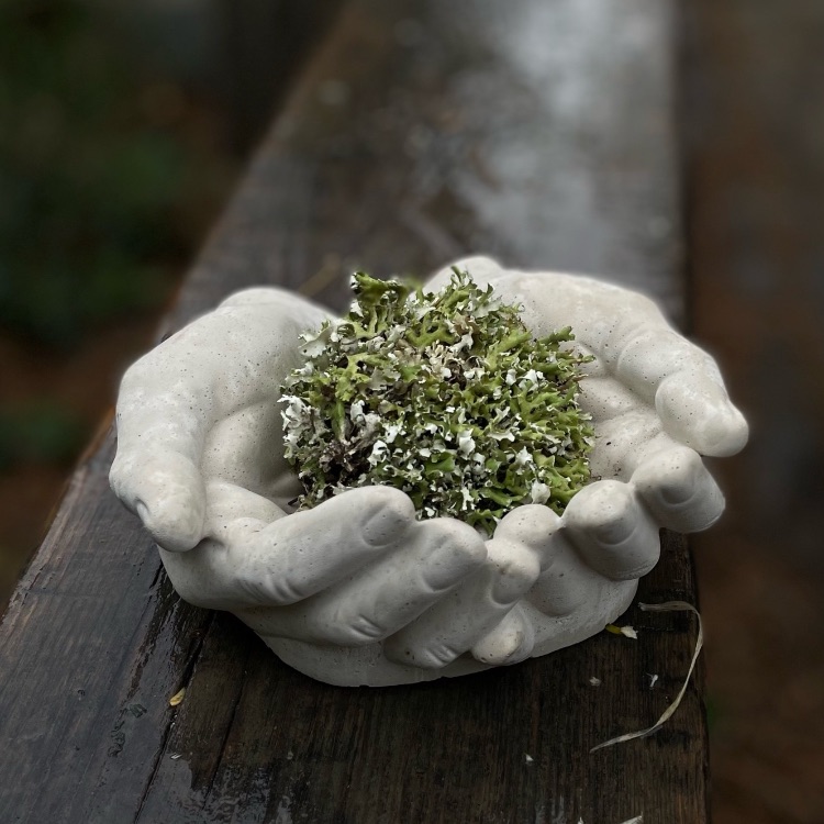 Иконка канала Север Крыма