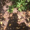 Иконка канала Princessa_bez_korony