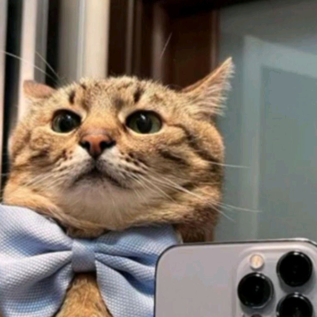 Иконка канала Супер Кот