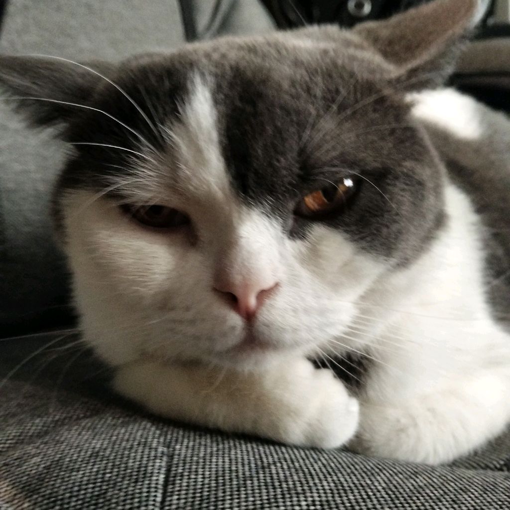 Иконка канала МишаАро999